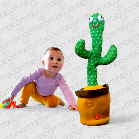 USB Rechargeable Talking and Dancing Cactus